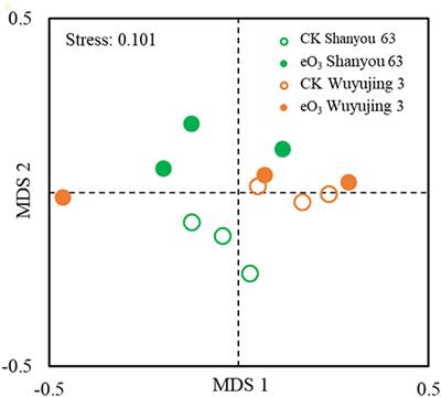 Changes in the Abundance and Community Complexity of Soil Nematodes in Two Rice Cultivars Under Elevated Ozone